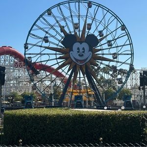 Meet your Posher, Guadalupe